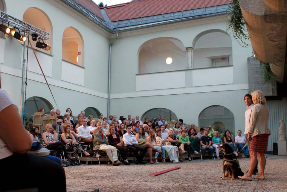 1656190_683367561718559_5858851772751541241_n